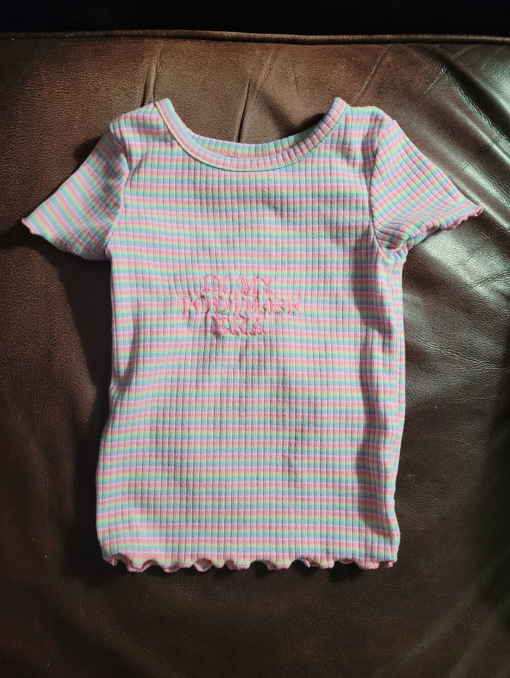 Garanimals toddler girl ribbed knit t-shirt. "In My Toddler Era " Sz 18M